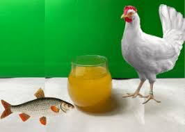 تصویر 4 از روغن تالو مرغی ارگانیک و طبیعی با طعم بی‌ نظیر